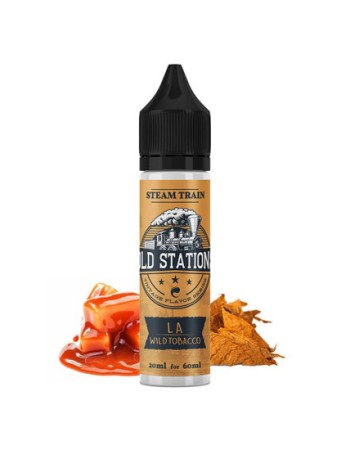 STEAM TRAIN OLD STATIONS LA WILD TOBACCO 60ML