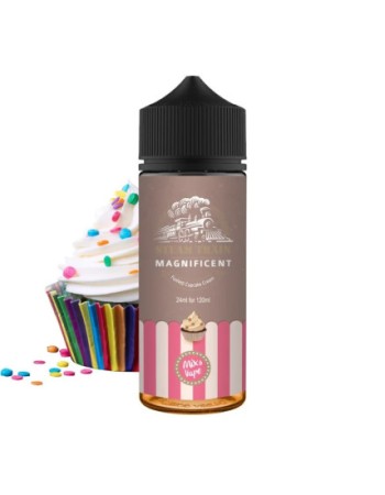 STEAM TRAIN MAGNIFICENT 120ML