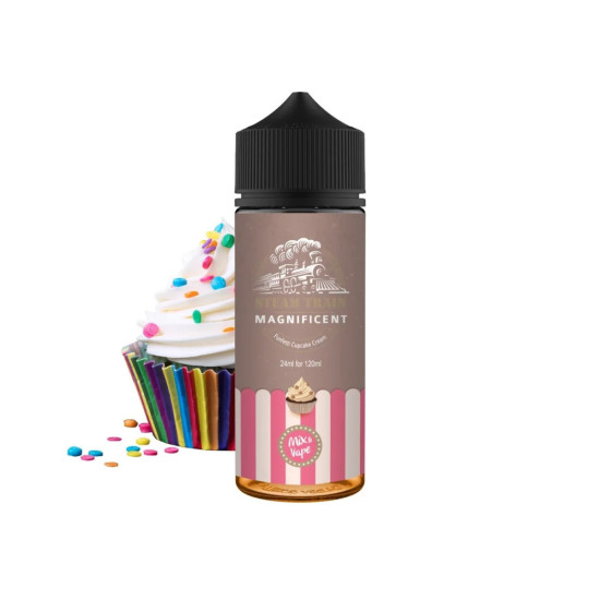 STEAM TRAIN MAGNIFICENT 120ML