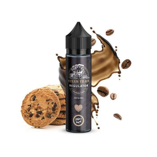 STEAM TRAIN REGULATOR 60ML