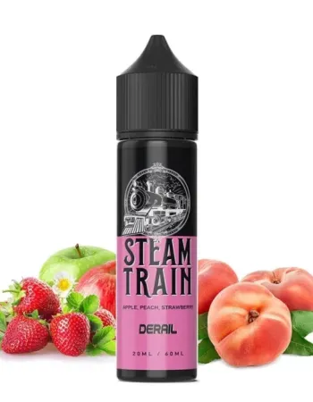 STEAM TRAIN DERAIL 60ML