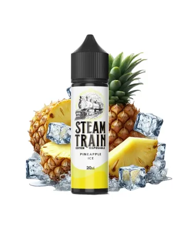 STEAM TRAIN EDITION DISPOSABLE PINEAPPLE ICE 60ML