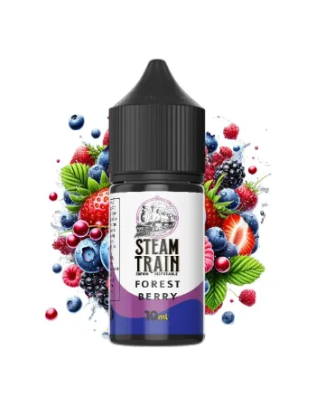 STEAM TRAIN EDITION DISPOSABLE FOREST BERRY 30ML