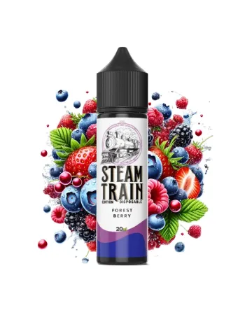 STEAM TRAIN EDITION DISPOSABLE FOREST BERRY 60ML