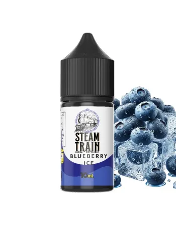 STEAM TRAIN EDITION DISPOSABLE BLUEBERRY ICE 30ML