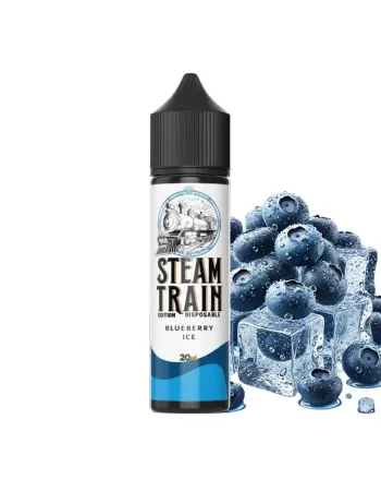 STEAM TRAIN EDITION DISPOSABLE BLUEBERRY ICE 60ML