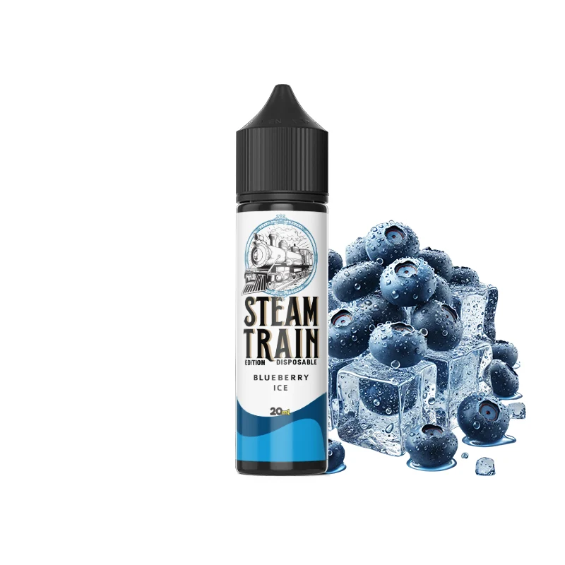 STEAM TRAIN EDITION DISPOSABLE BLUEBERRY ICE 60ML