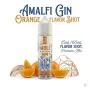 RELOAD VAPE AMALFI GIN ORANGE 60ML