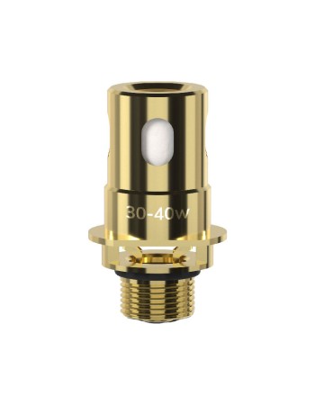 INNOKIN Z COIL 0.3OHM 30-40W