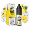 STEAM TRAIN EDITION DISPOSABLE PINEAPPLE ICE 20MG – 60VG/40PG – 10ML