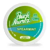 POUCH NURDZ 12MG SPEARMINT