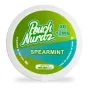 POUCH NURDZ 12MG SPEARMINT